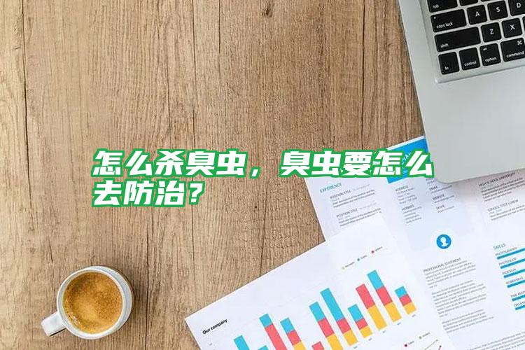 怎么殺臭蟲，臭蟲要怎么去防治？