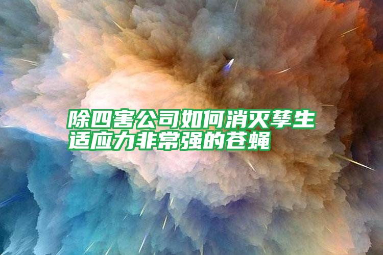除四害公司如何消滅孳生適應(yīng)力非常強的蒼蠅