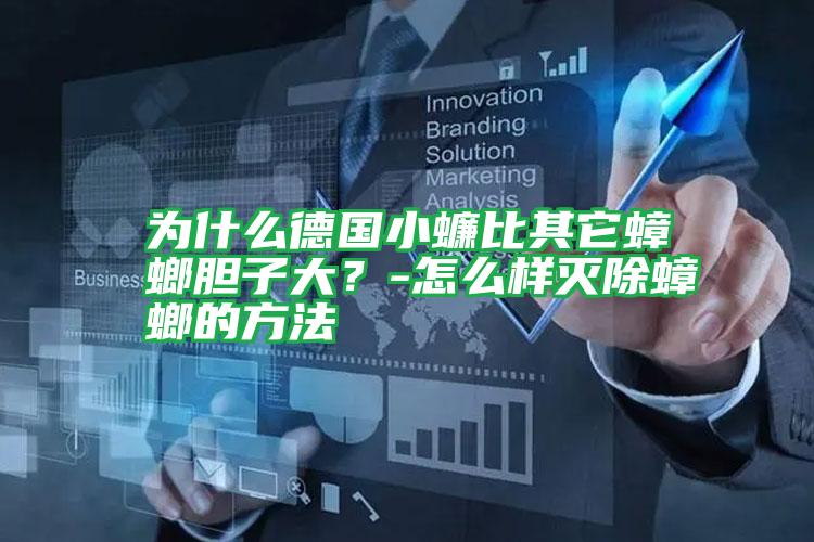 為什么德國(guó)小蠊比其它蟑螂膽子大?-怎么樣滅除蟑螂的方法