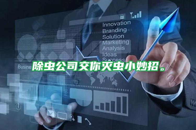 除蟲(chóng)公司交你滅蟲(chóng)小妙招。