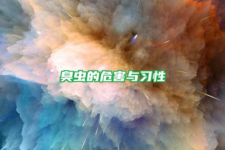 臭蟲的危害與習(xí)性