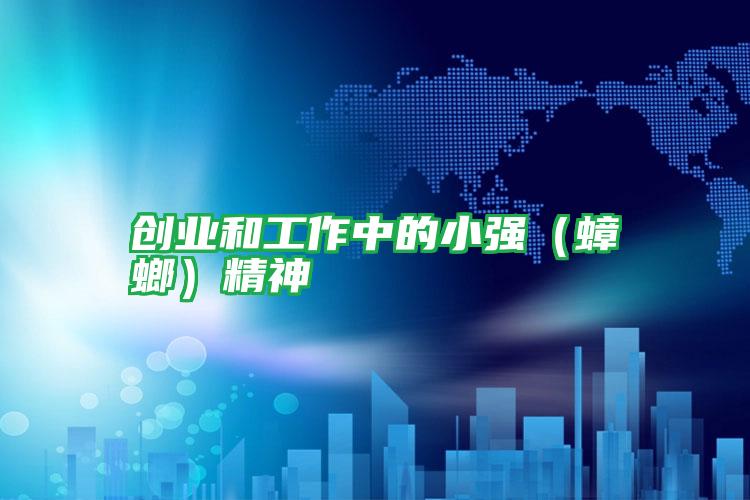 創(chuàng)業(yè)和工作中的小強(qiáng)(蟑螂)精神