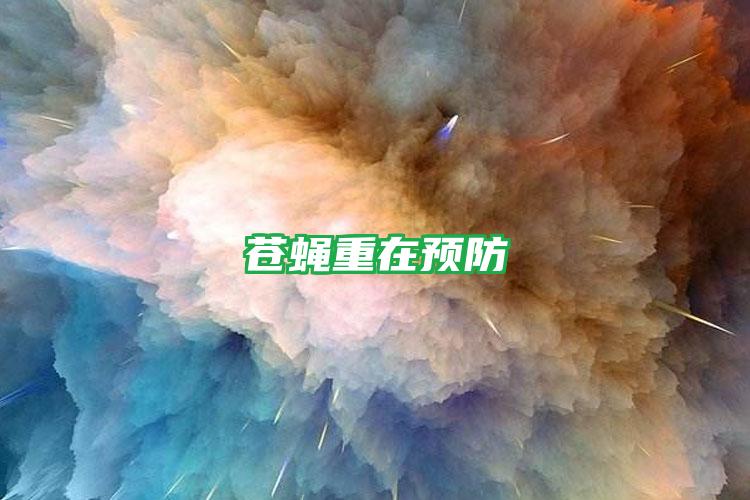 蒼蠅重在預防
