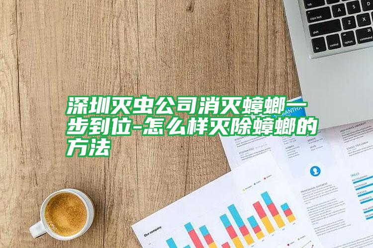 深圳滅蟲(chóng)公司消滅蟑螂一步到位-怎么樣滅除蟑螂的方法
