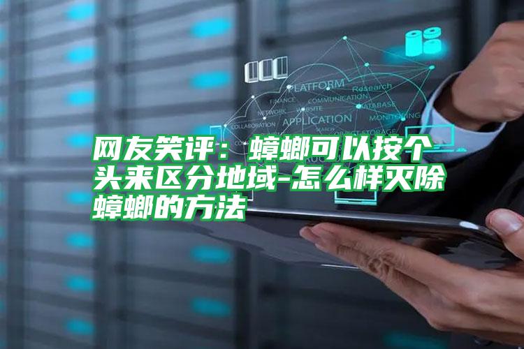 網(wǎng)友笑評:蟑螂可以按個頭來區(qū)分地域-怎么樣滅除蟑螂的方法