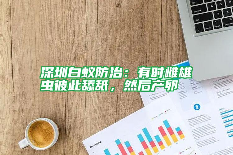 深圳白蟻防治:有時雌雄蟲彼此舔舐,然后產(chǎn)卵