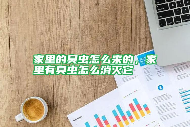 家里的臭蟲怎么來(lái)的,家里有臭蟲怎么消滅它