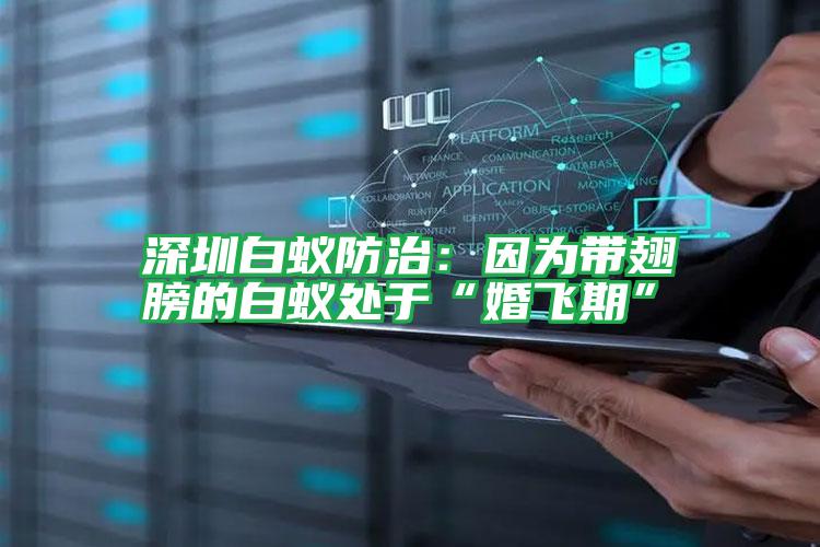 深圳白蟻防治:因為帶翅膀的白蟻處于“婚飛期”