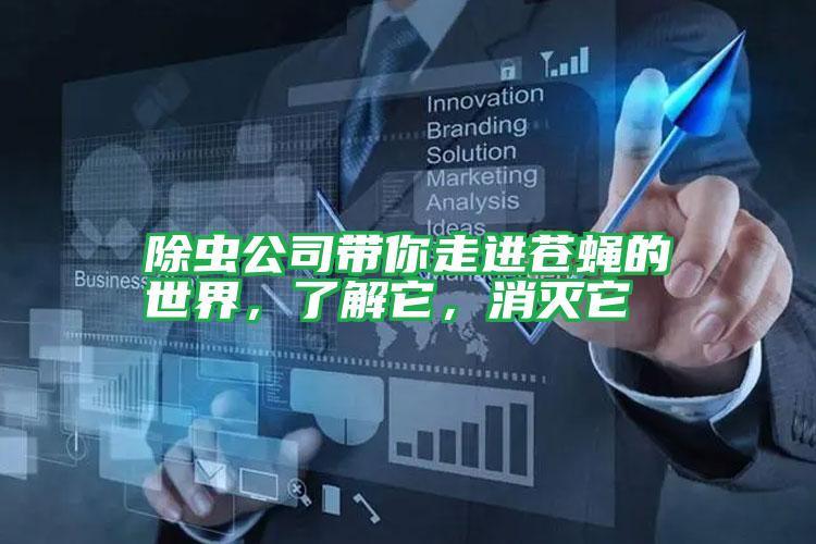 除蟲公司帶你走進(jìn)蒼蠅的世界，了解它，消滅它
