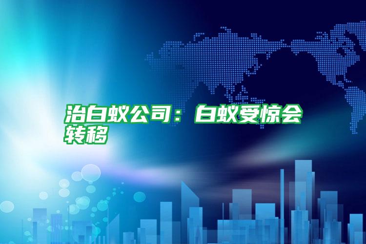 治白蟻公司:白蟻受驚會轉移