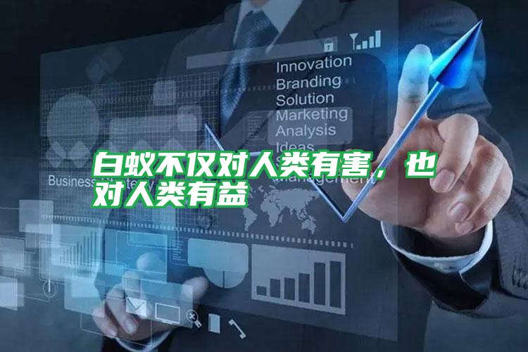 白蟻不僅對(duì)人類有害,也對(duì)人類有益