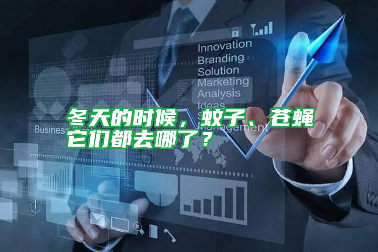 冬天的時(shí)候,蚊子、蒼蠅它們都去哪了?