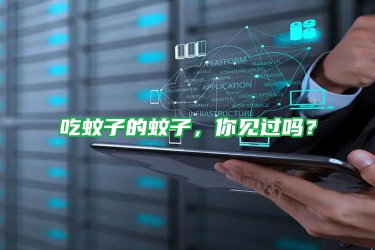 吃蚊子的蚊子，你見過嗎？