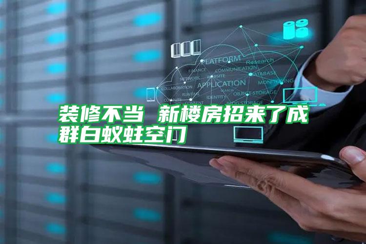 裝修不當(dāng) 新樓房招來了成群白蟻蛀空門