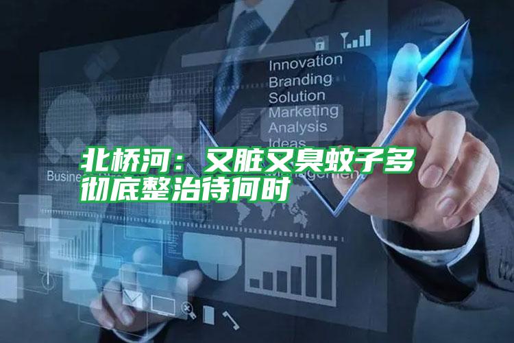 北橋河:又臟又臭蚊子多 徹底整治待何時(shí)