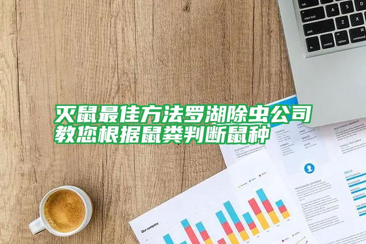 滅鼠最佳方法羅湖除蟲公司教您根據鼠糞判斷鼠種