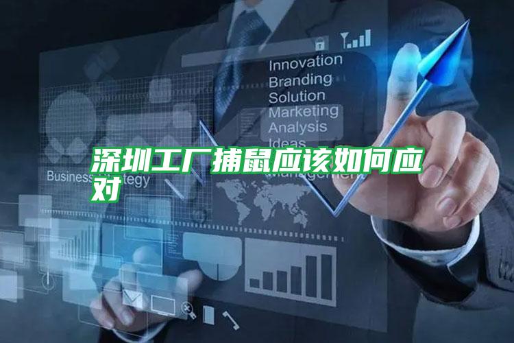 深圳工廠捕鼠應(yīng)該如何應(yīng)對(duì)