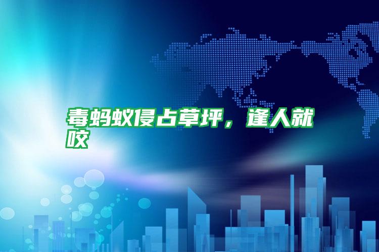 毒螞蟻侵占草坪，逢人就咬