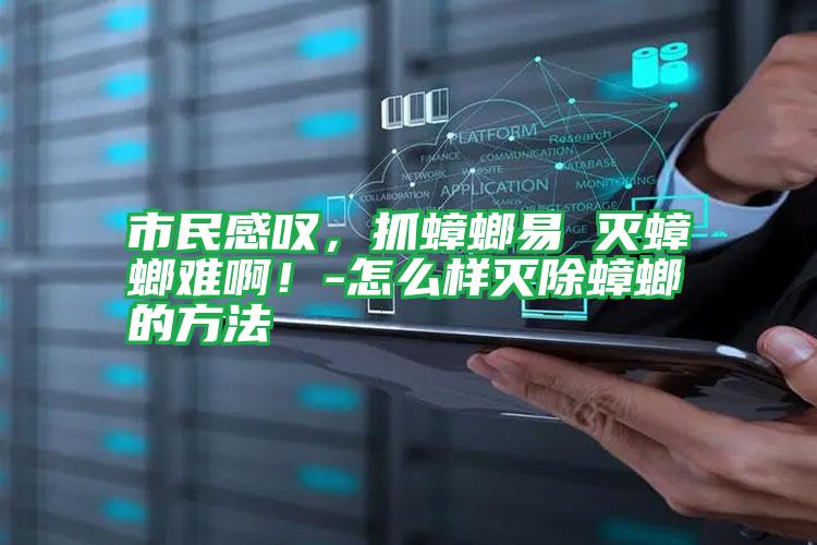 市民感嘆,抓蟑螂易 滅蟑螂難?。?怎么樣滅除蟑螂的方法