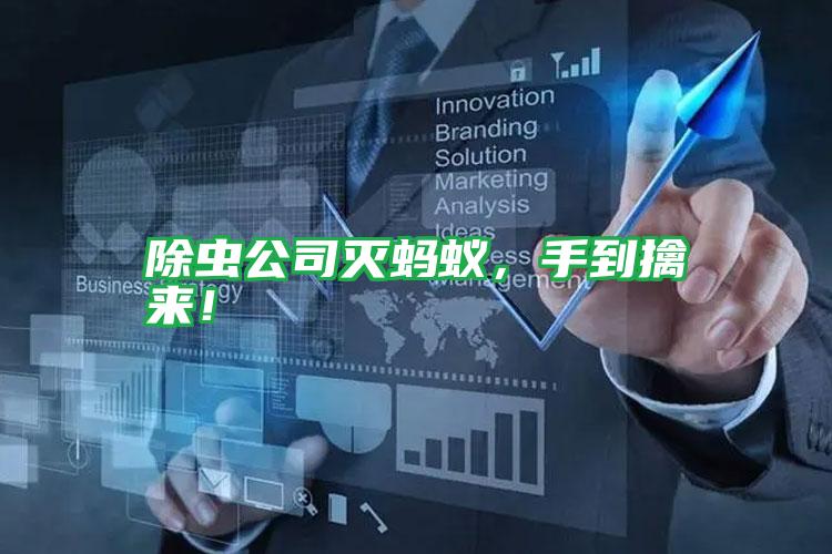 除蟲公司滅螞蟻,手到擒來!