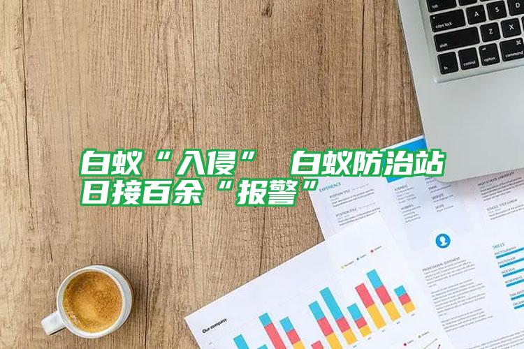 白蟻“入侵” 白蟻防治站日接百余“報(bào)警”