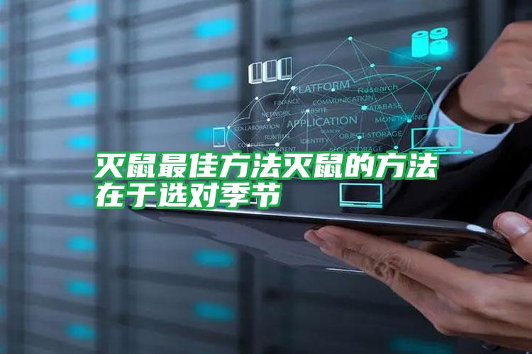 滅鼠最佳方法滅鼠的方法在于選對季節(jié)