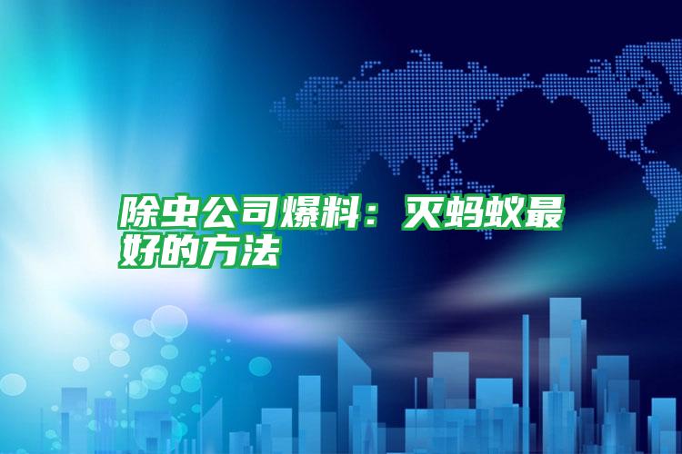 除蟲公司爆料：滅螞蟻?zhàn)詈玫姆椒?/></p>
					 <p style=