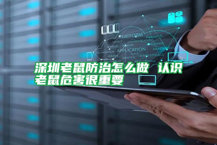 深圳老鼠防治怎么做 認識老鼠危害很重要