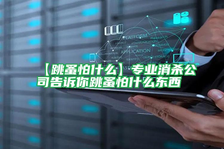 【跳蚤怕什么】專(zhuān)業(yè)消殺公司告訴你跳蚤怕什么東西