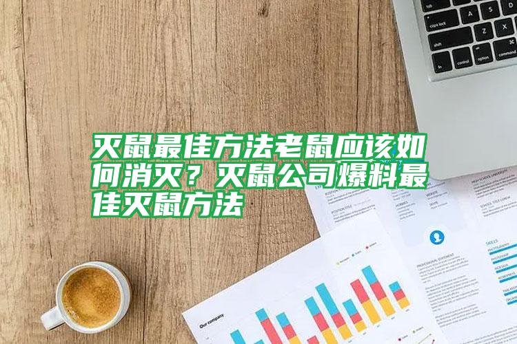滅鼠最佳方法老鼠應該如何消滅?滅鼠公司爆料最佳滅鼠方法