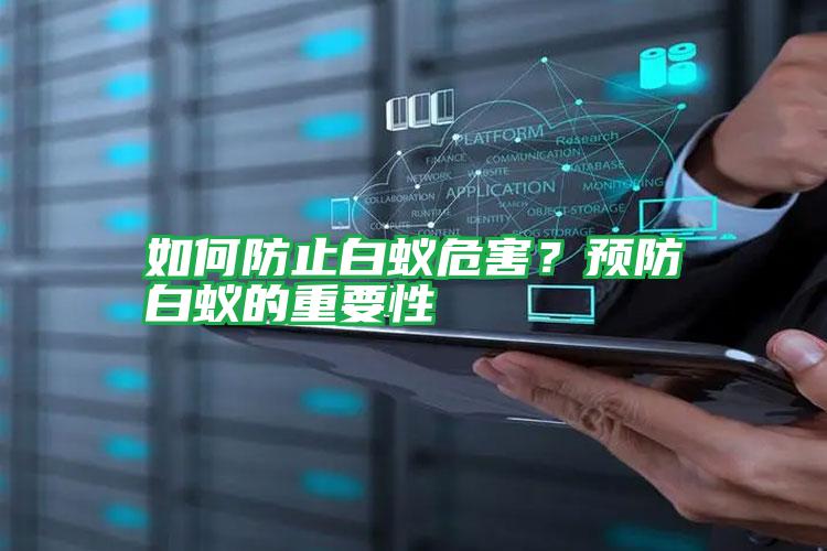 如何防止白蟻危害？預(yù)防白蟻的重要性