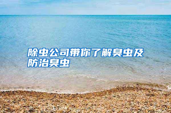 除蟲(chóng)公司帶你了解臭蟲(chóng)及防治臭蟲(chóng)