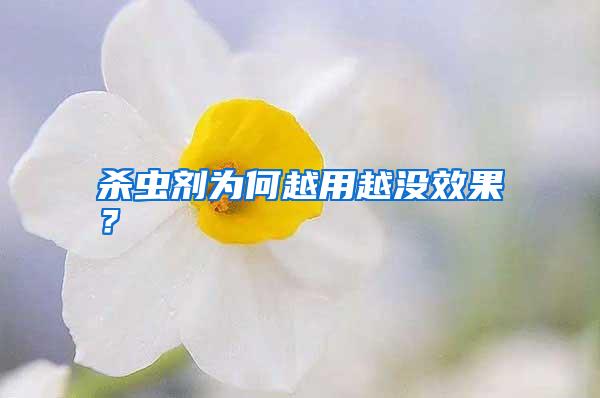 殺蟲劑為何越用越?jīng)]效果？