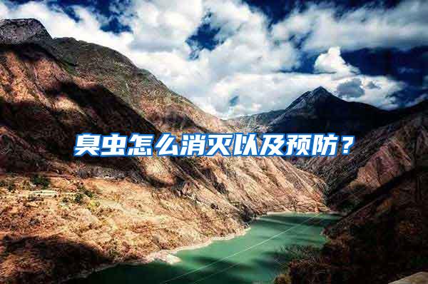 臭蟲怎么消滅以及預防?