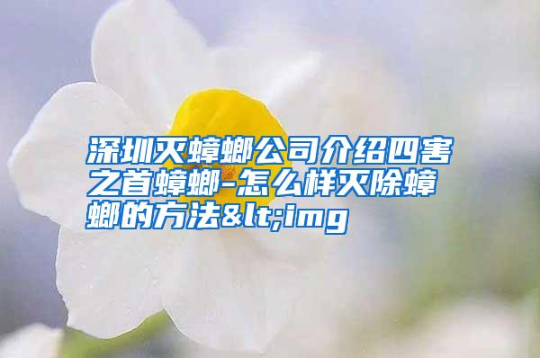 深圳滅蟑螂公司介紹四害之首蟑螂-怎么樣滅除蟑螂的方法<img
