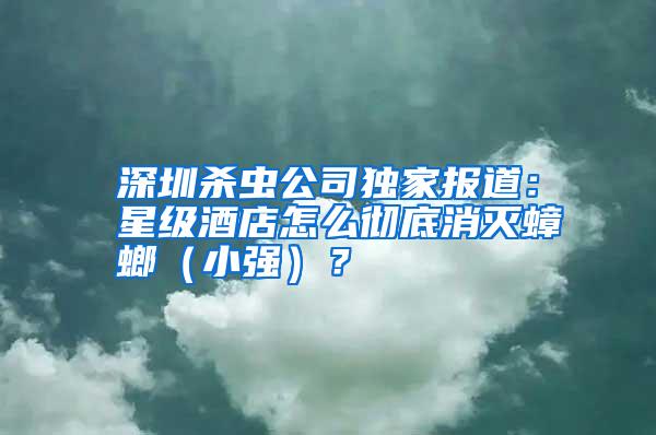 深圳殺蟲公司獨家報道:星級酒店怎么徹底消滅蟑螂(小強)?