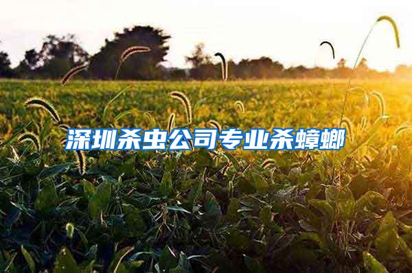 深圳殺蟲(chóng)公司專(zhuān)業(yè)殺蟑螂