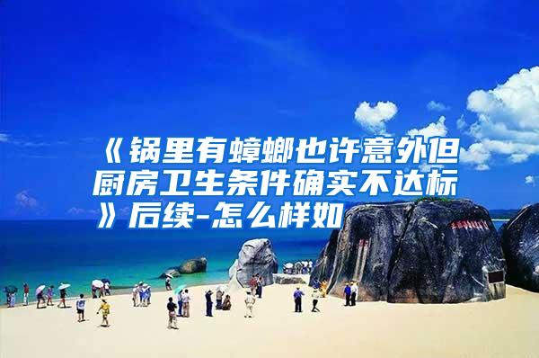 《鍋里有蟑螂也許意外但廚房衛(wèi)生條件確實不達標》后續(xù)-怎么樣如