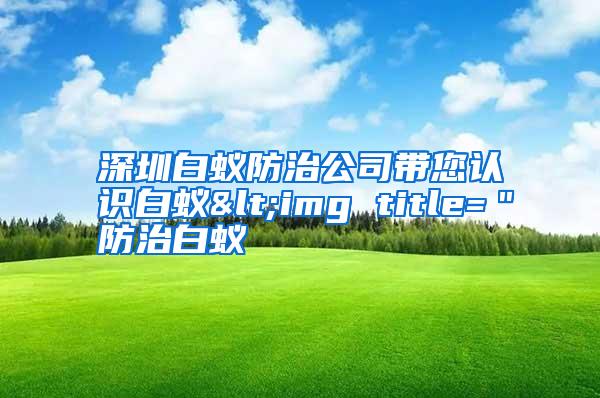 深圳白蟻防治公司帶您認識白蟻<img title="防治白蟻