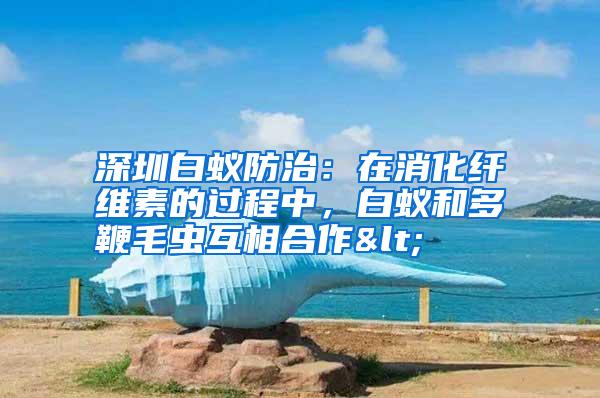 深圳白蟻防治:在消化纖維素的過(guò)程中,白蟻和多鞭毛蟲互相合作<