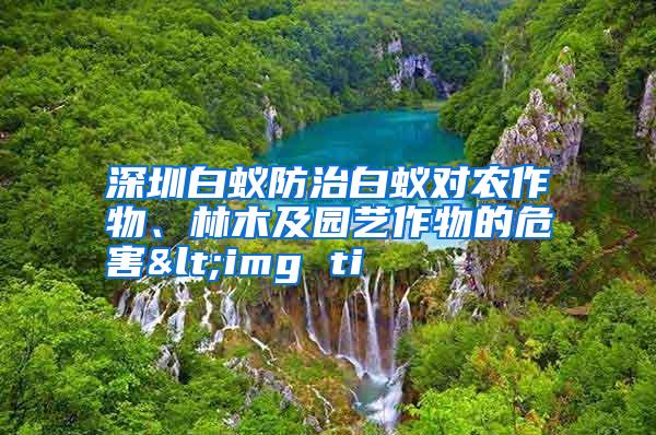 深圳白蟻防治白蟻對(duì)農(nóng)作物、林木及園藝作物的危害<img ti