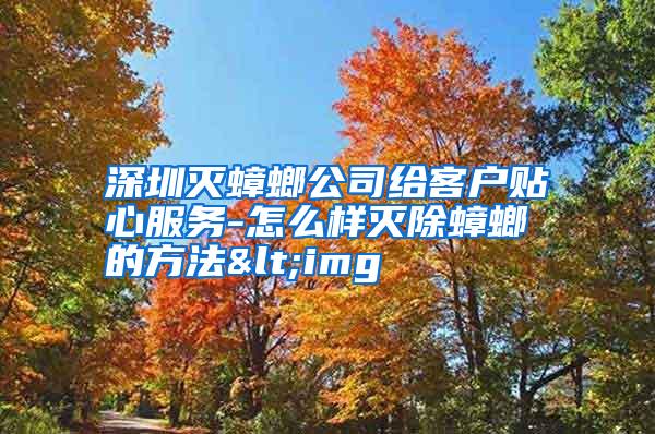 深圳滅蟑螂公司給客戶貼心服務-怎么樣滅除蟑螂的方法<img