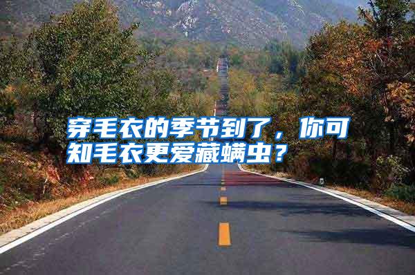穿毛衣的季節(jié)到了,你可知毛衣更愛藏螨蟲?