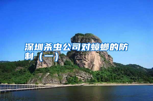 深圳殺蟲公司對蟑螂的防制(一)