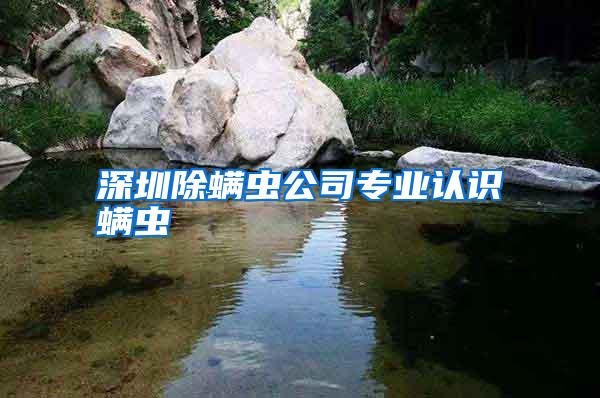深圳除螨蟲公司專業(yè)認(rèn)識螨蟲