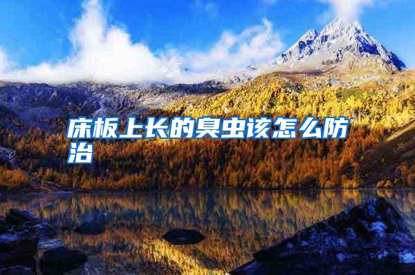 床板上長(zhǎng)的臭蟲(chóng)該怎么防治