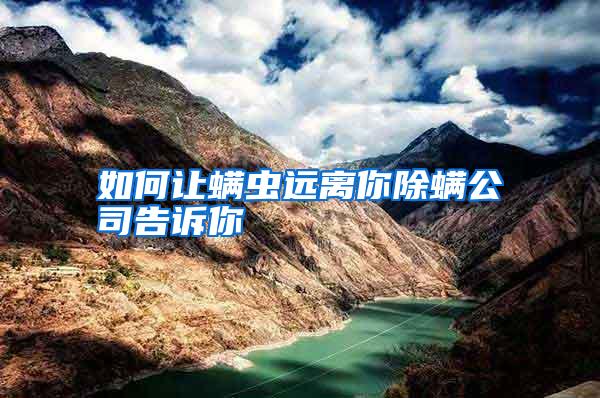 如何讓螨蟲遠離你除螨公司告訴你