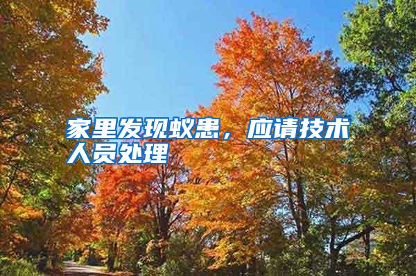 家里發(fā)現(xiàn)蟻患,應(yīng)請(qǐng)技術(shù)人員處理