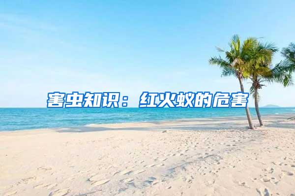 害蟲知識(shí):紅火蟻的危害