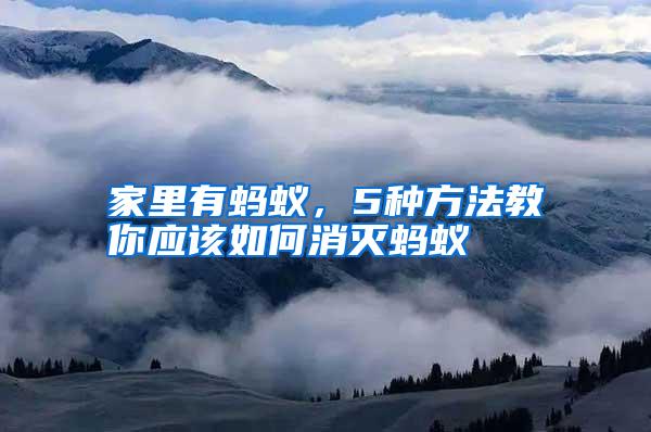 家里有螞蟻,5種方法教你應(yīng)該如何消滅螞蟻